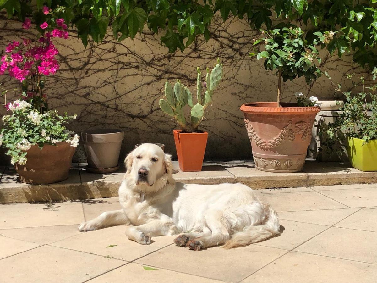 Guest house De Margot Avignon